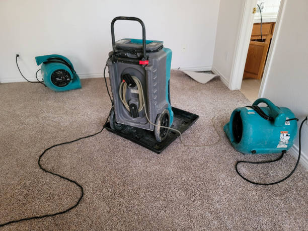  Antigo, WI Water damage restoration Pros