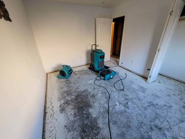 Best Ceiling water damage repair  in Antigo, WI