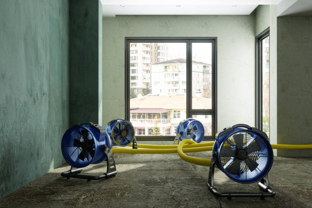 Best Local water damage restoration  in Antigo, WI