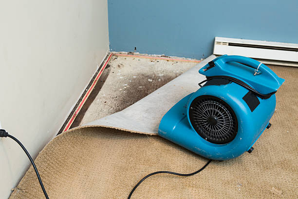 Best Fire Damage Restoration  in Antigo, WI